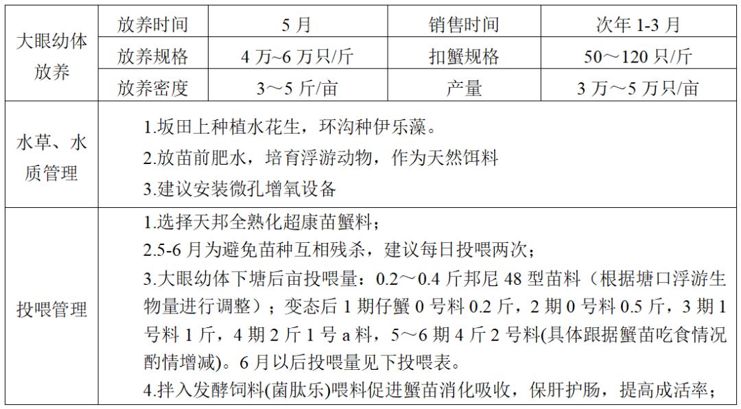 今年河蟹育苗 (6).jpg